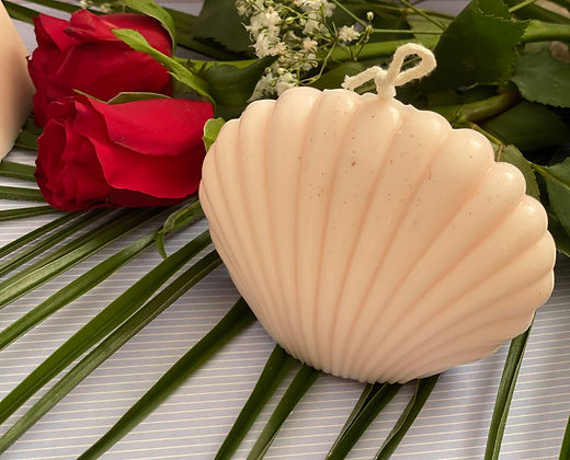 Coquillage déco